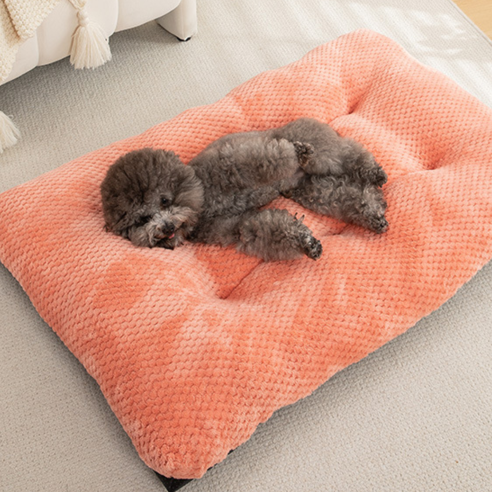 Plush Pineapple Grid Pillow Dog Bed