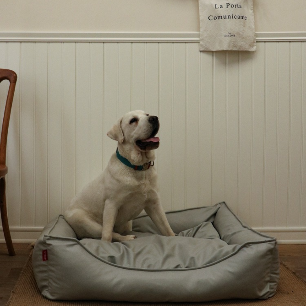 Waterproof Scratch-Resistant Cooling Leather Dog Bed