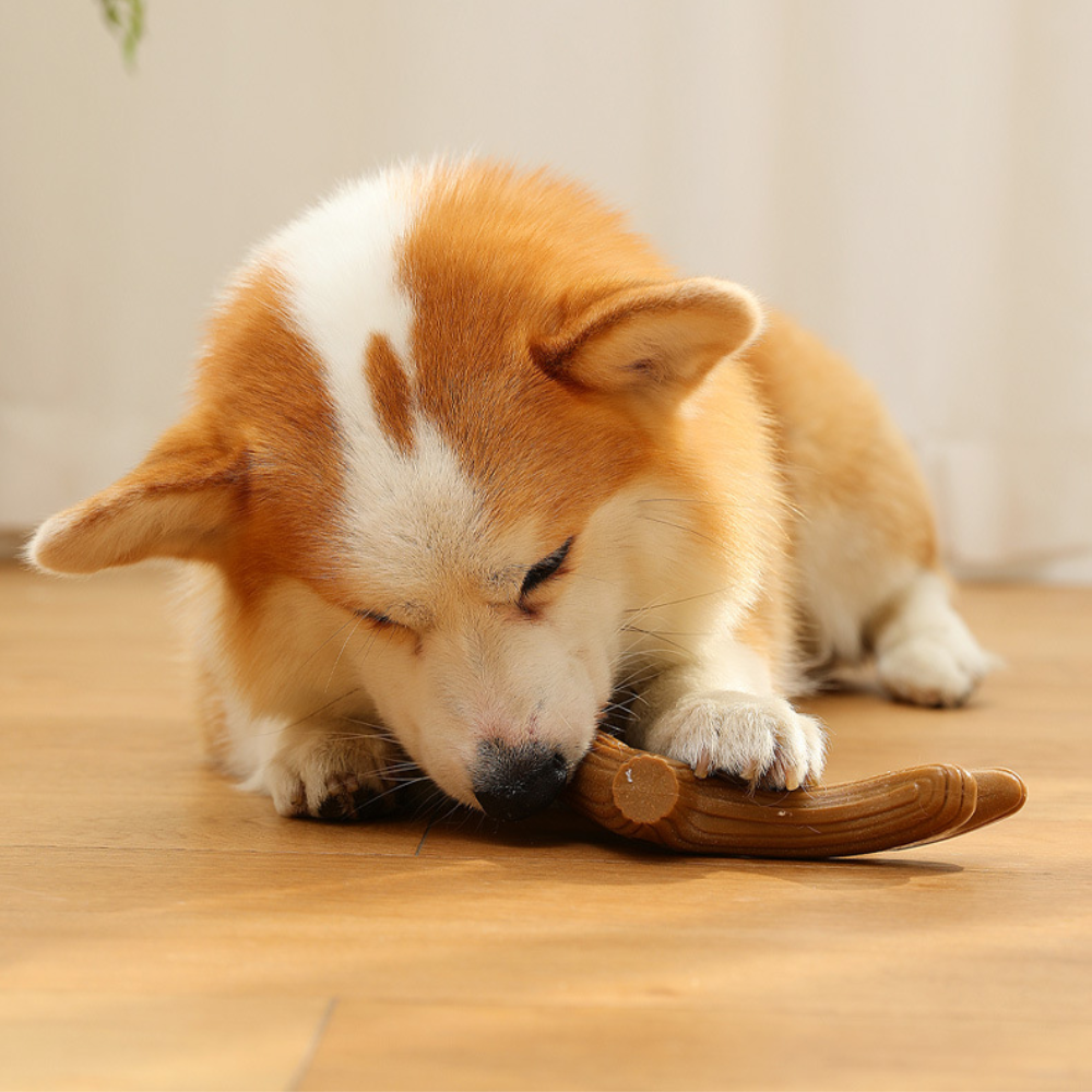Natural Pine Wood Dog Chew Toy