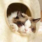 Frog Design FluffyWarm Cat Bed