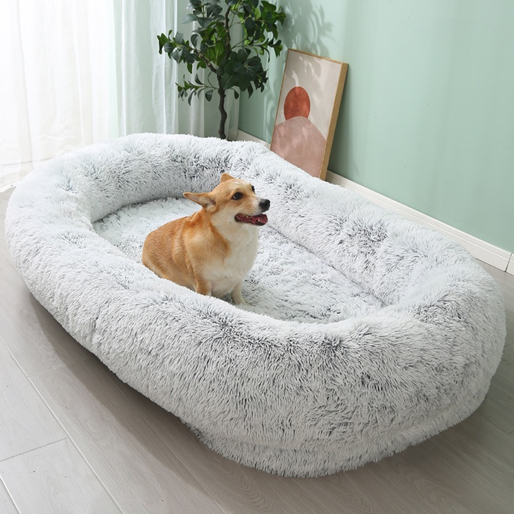 Shaggy Cozy Large Human Dog Bed