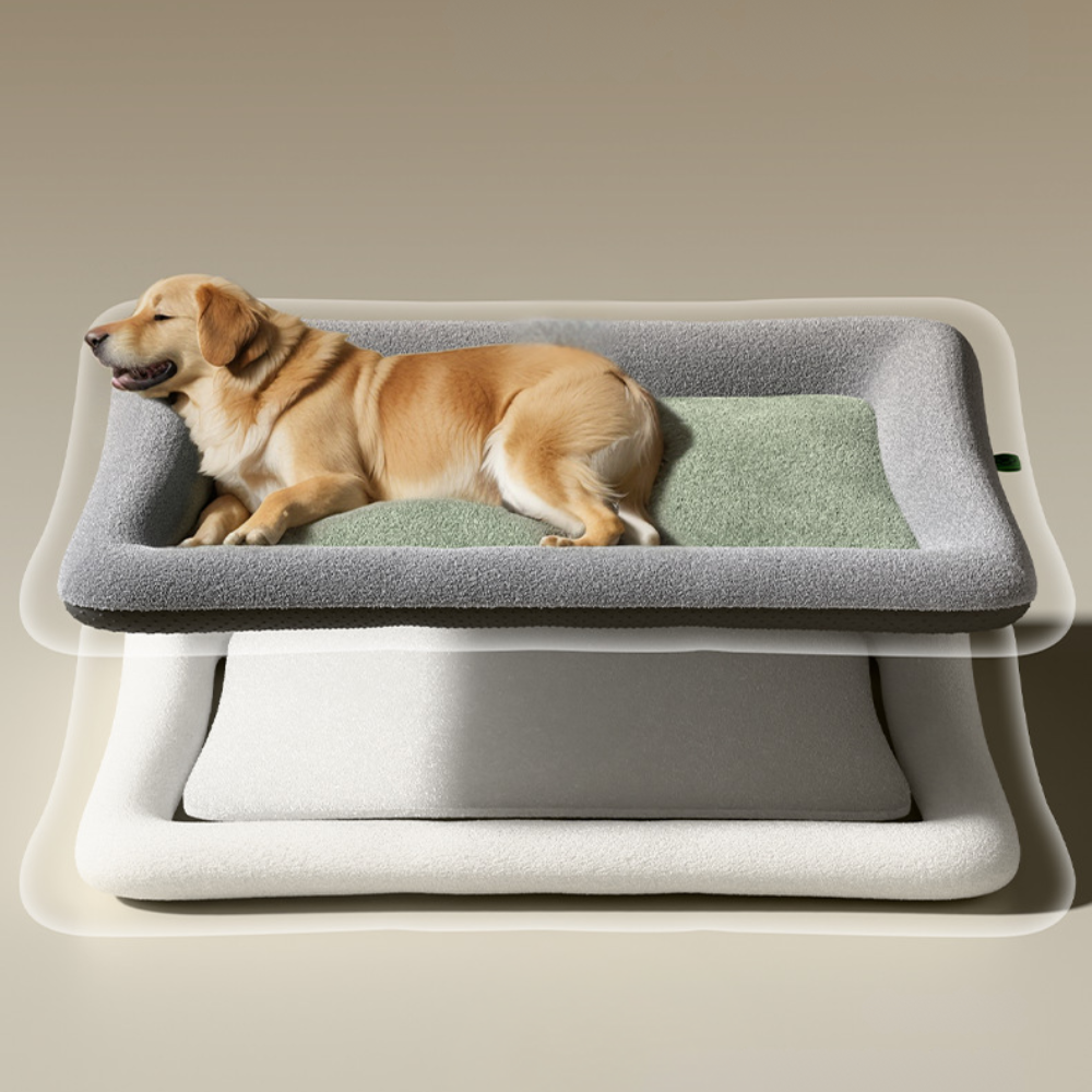 Memory Foam with Plush Cover – Anti-Slip, Orthopedic Comfort Dog Bed