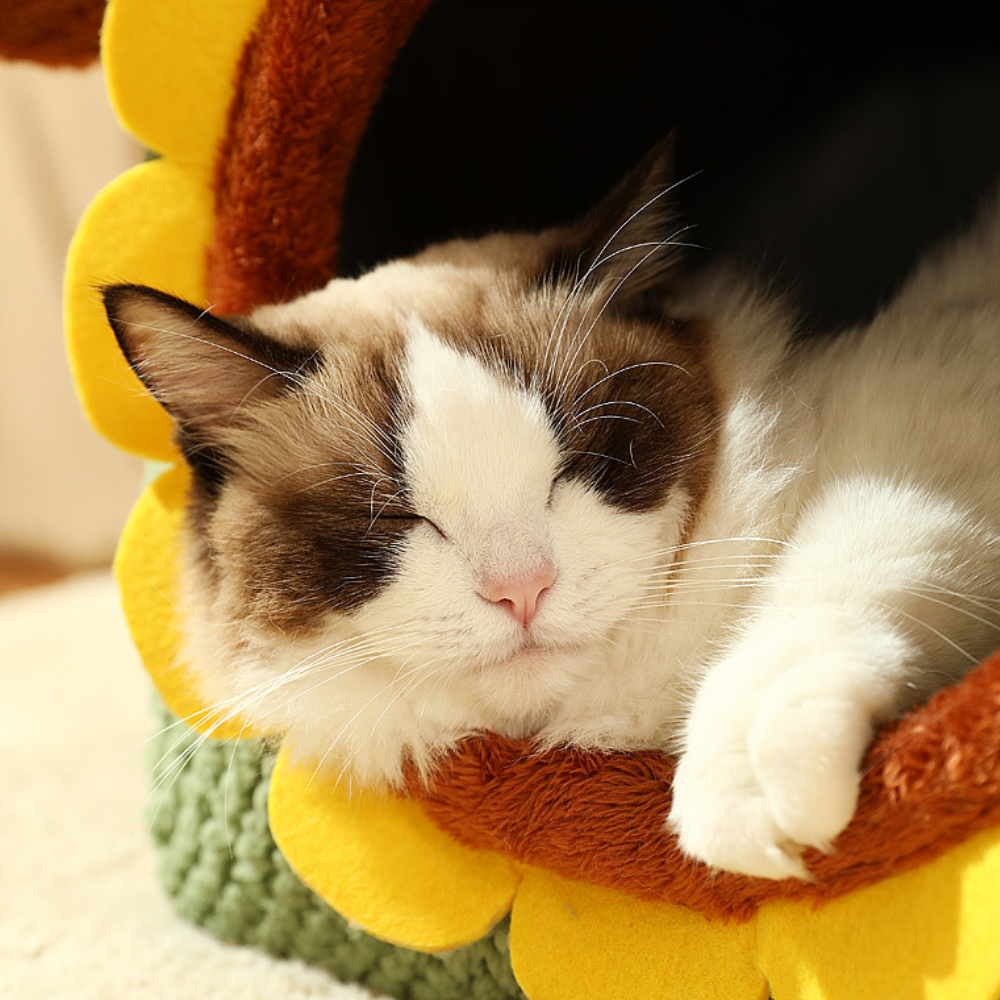 Sunflower Cat House Warm Cozy Cat Bed