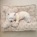 Upgraded Cloud Comfort Ultra-Soft Durable Supportive Design Dog Bed
