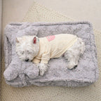Upgraded Cloud Comfort Ultra-Soft Durable Supportive Design Dog Bed