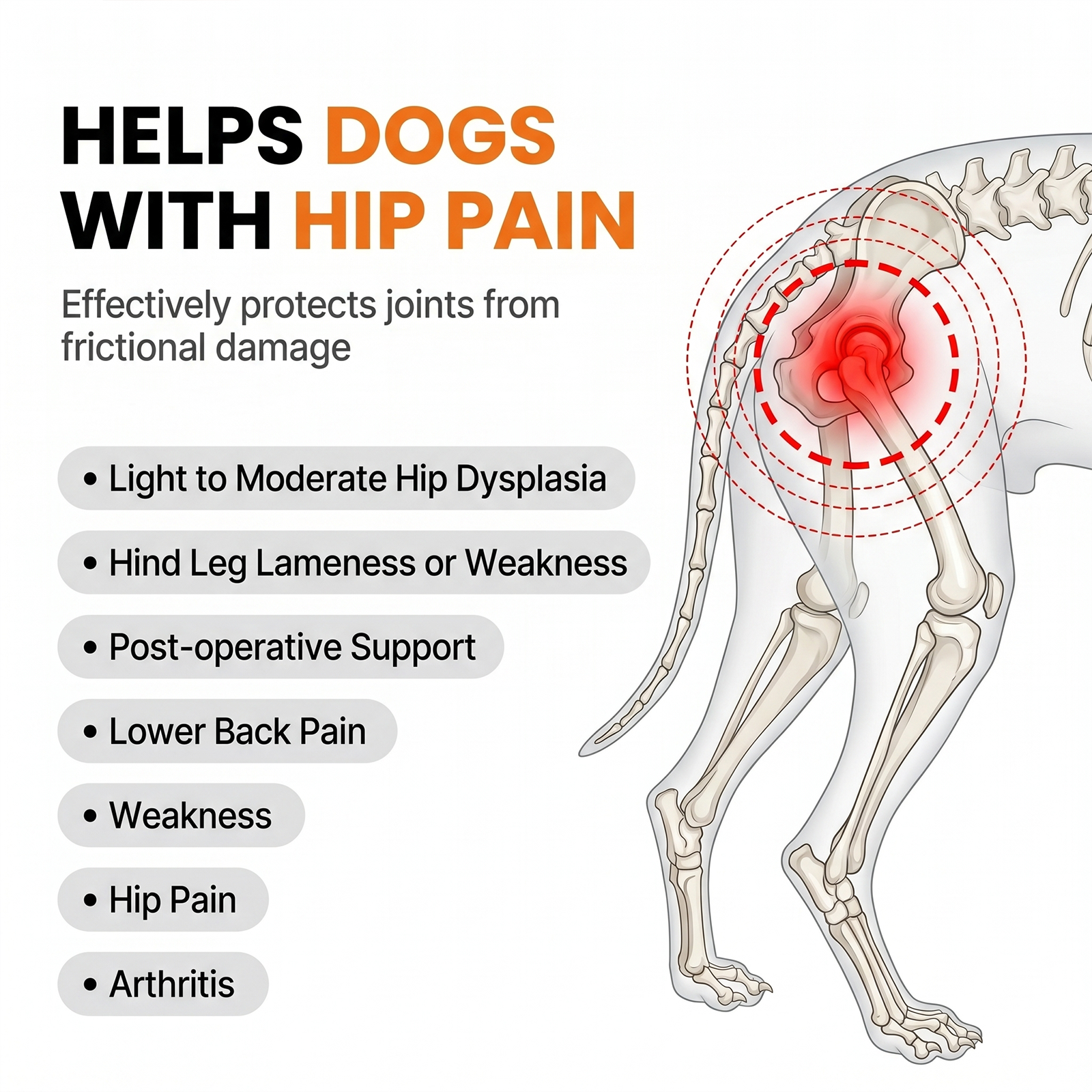 Dog Knee Braces & Dog Leg Braces for Back Leg with Carrying Handle, Reflective Adjustable Velcro Straps for ACL/CCL, Joint Pain and Luxating Patella—Reduces Back Leg Stress