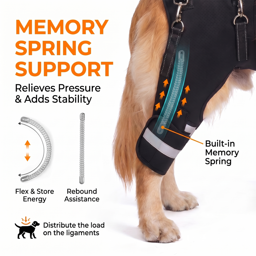 Dog Knee Braces & Dog Leg Braces for Back Leg with Carrying Handle, Reflective Adjustable Velcro Straps for ACL/CCL, Joint Pain and Luxating Patella—Reduces Back Leg Stress