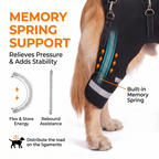 Dog Knee Braces & Dog Leg Braces for Back Leg with Carrying Handle, Reflective Adjustable Velcro Straps for ACL/CCL, Joint Pain and Luxating Patella—Reduces Back Leg Stress